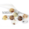 In Stock Fast Delivery Bulk Fancy 18L 11.5mm Resin Button for Shirts