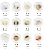 In Stock Fast Delivery Bulk Fancy 18L 11.5mm Resin Button for Shirts