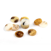 In Stock Fast Delivery Bulk Fancy 18L 11.5mm Resin Button for Shirts